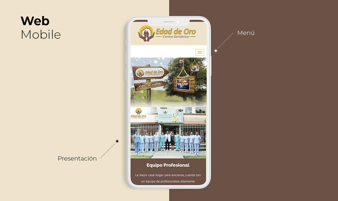 Desarrollo de páginas web en Arequipa