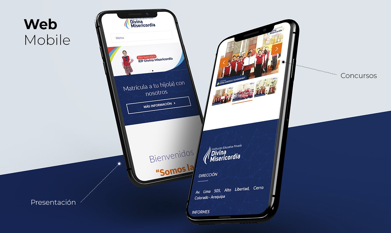 Desarrollo de páginas web en Arequipa