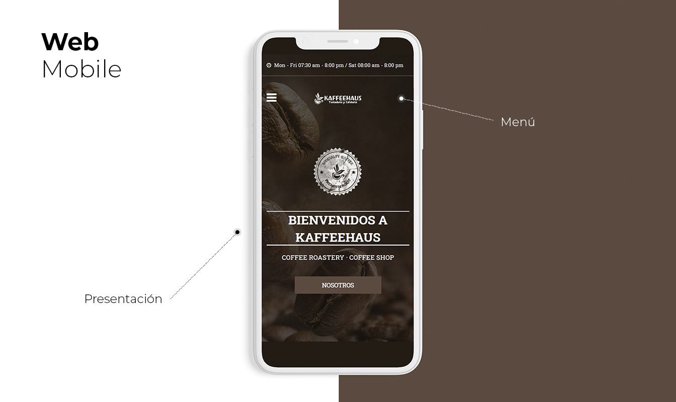 Desarrollo de páginas web en Arequipa