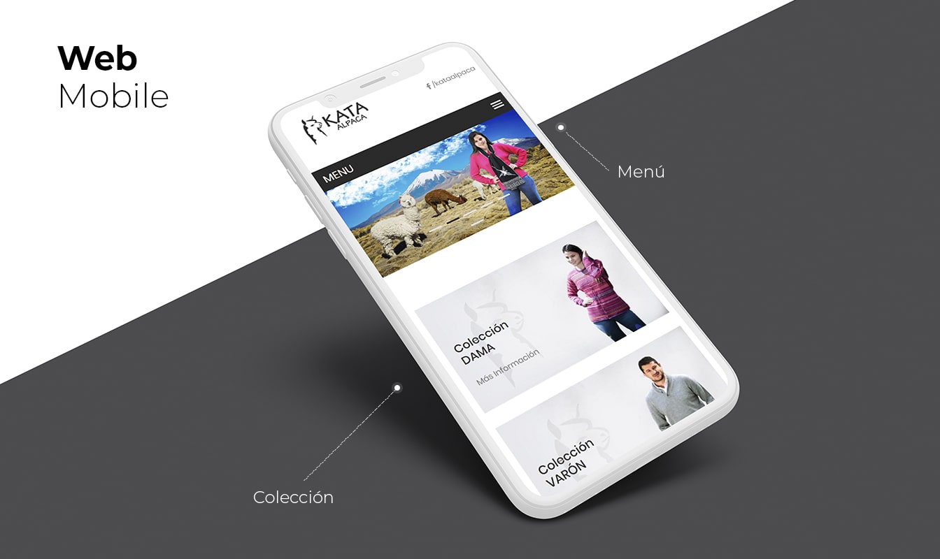 Desarrollo de páginas web en Arequipa