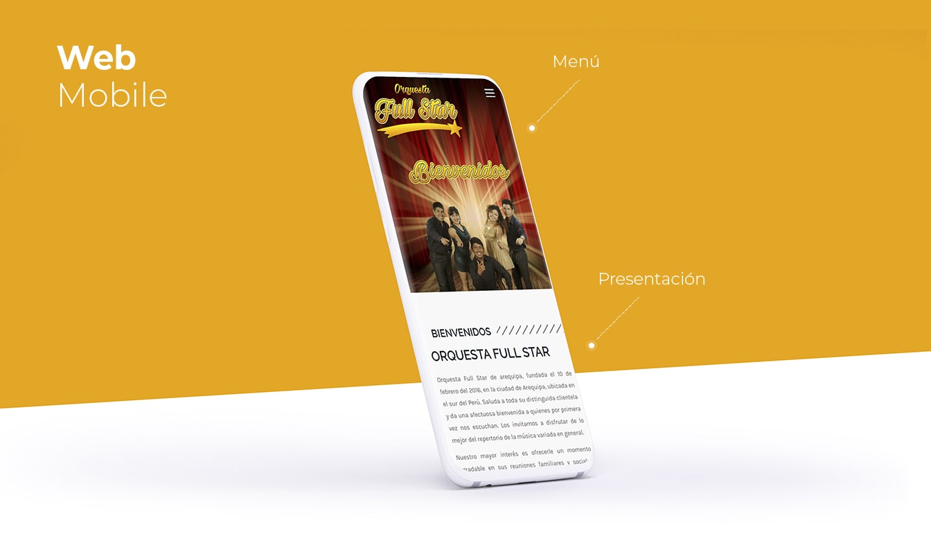 Desarrollo de páginas web en Arequipa